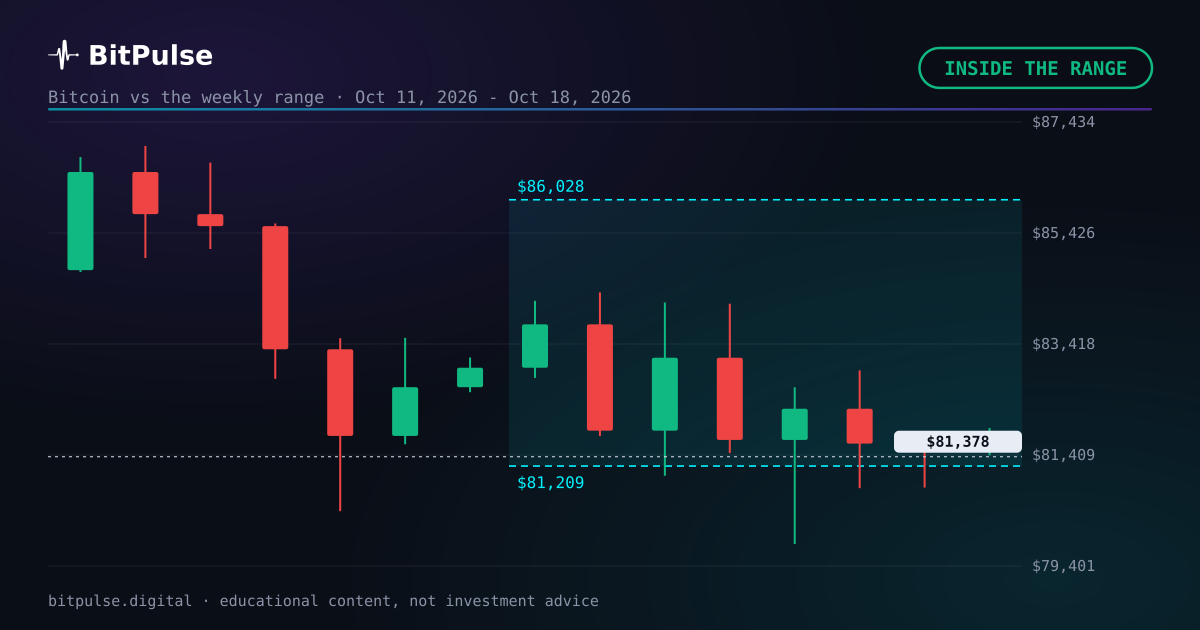 Bitcoin forecast checked: the week closed at $81,378